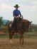 Klisna American Paint Horse
