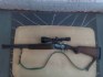prodam-kulobrok-zh-v-razi-5-6x-52r