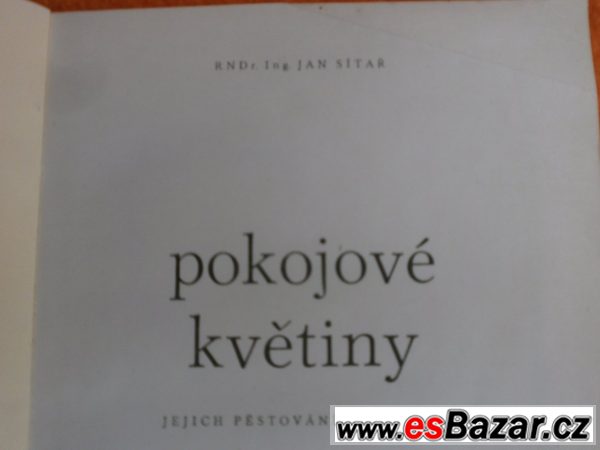 Pokojové květiny - autor Jan Sítař