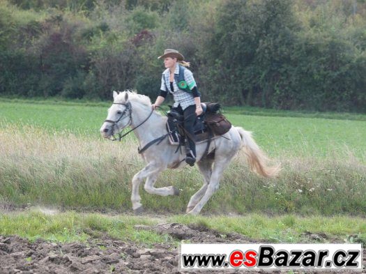 Turistika na koni: vyjížďky, projížďky, dovolená v sedle