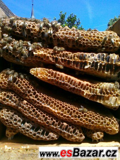 Včelí med vykapávaný