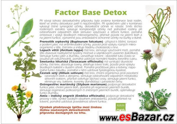 Factor báze-DETOX