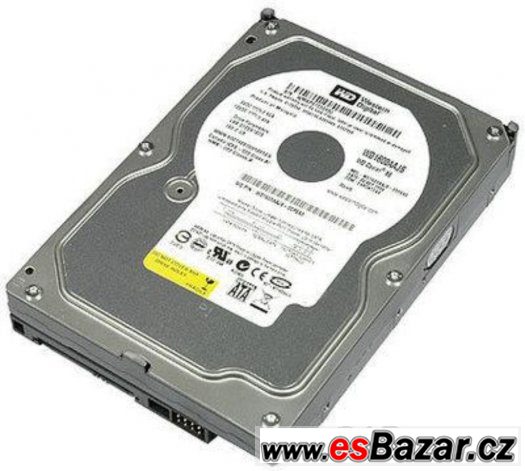 Western Digital 160 GB