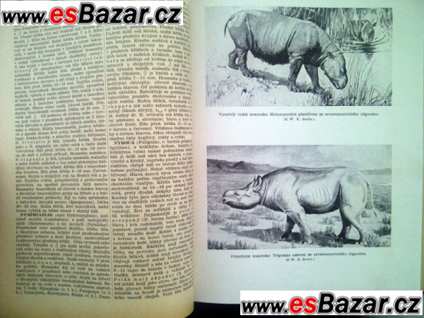 biologicka-encyklopedie-r-1946