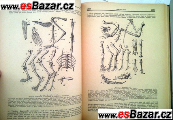 Biologická encyklopedie, r.1946