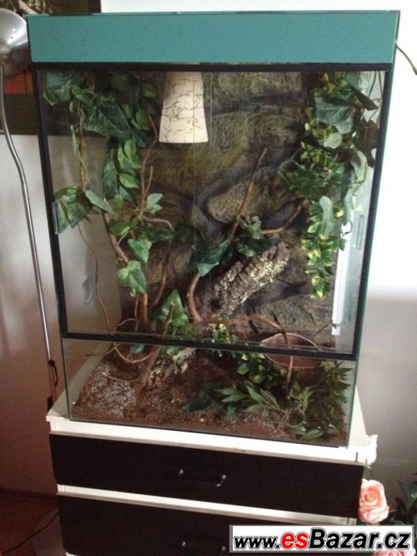 Prodám krásné terárium - chameleon