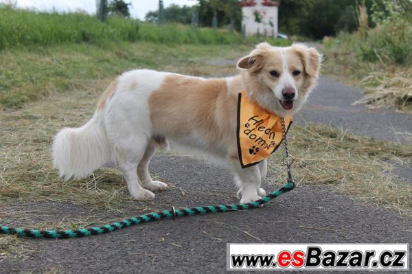 Oliver hledá hodnou paničku! Oliver hledá hodnou paničku!