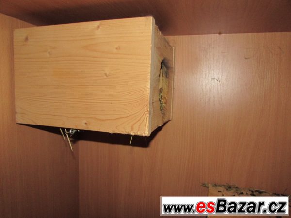 Prodám voliéru s činčilou Prodám voliéru s činčilou