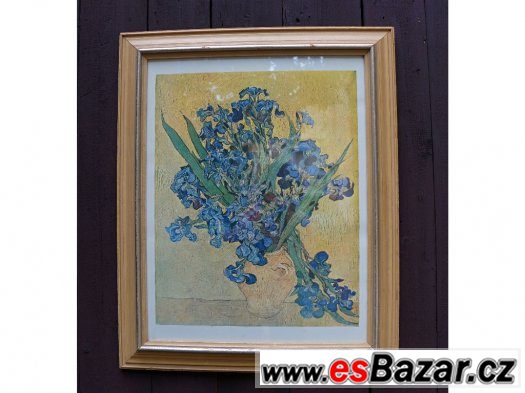 Vincent van Gogh - reprodukce obrazu