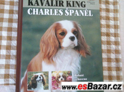 Kniha Kavalír King Charles Španěl           cena 89 kč