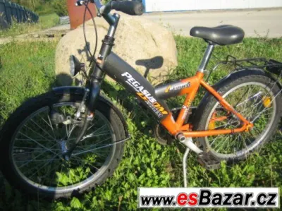 Dětské kolo Pegasus ZOOM 20" Shimano Nexus