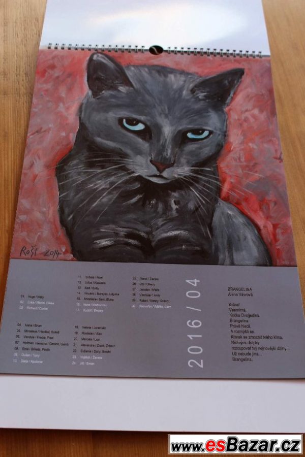 Kočičí kalendář a diář 2016