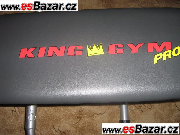 King gym pro