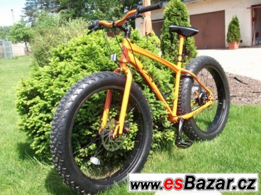 Fat Bike