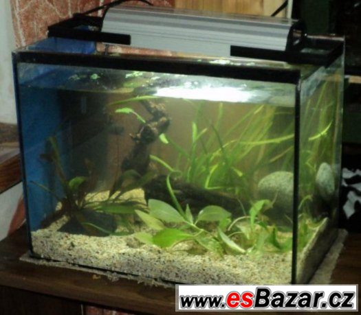 akvarium-24-litru