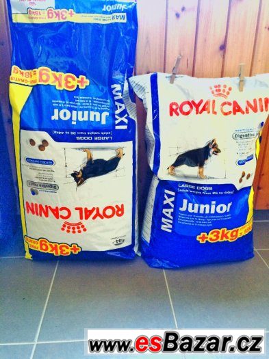 Royal Canin Maxi Junior