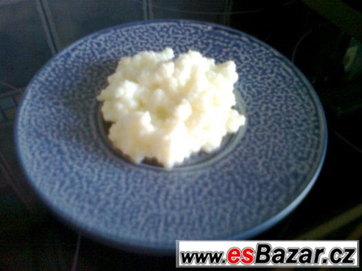 zdravy-domaci-kefir-tibetska-houba