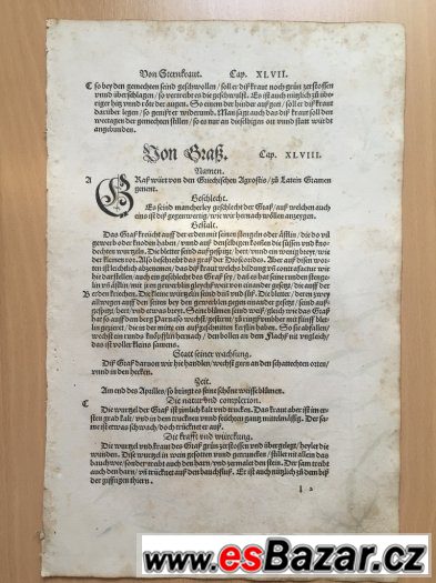 r. 1543, originál  list ze světově prvního herbáře,,Fuchs,,