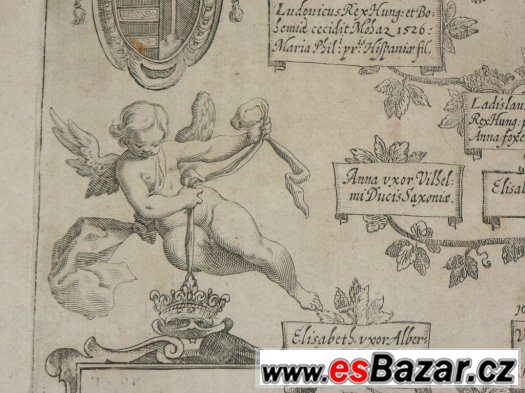 rodokmen českých králů z roku 1606 - Albizzi Florencie