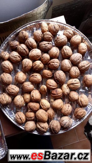 Vlašské ořechy 2015