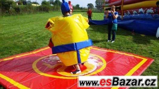 Sumo ring