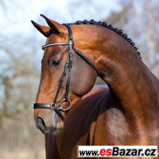 pony-uzdecka-hannoversky-nanosnik-nova