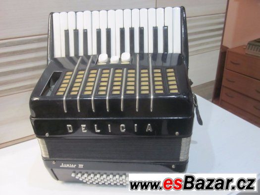 akordeon harmonika Delicia Junior