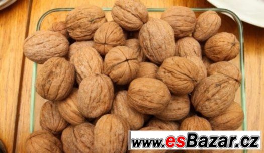 Prodám Letošní Vlašské ořechy Výběr z několika odrud
