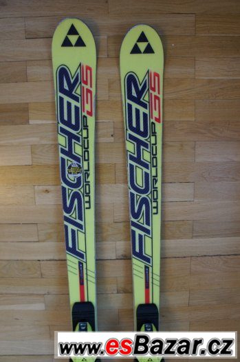 lyze-fischer-rc4-worldcup-gs-170-cm-r-17