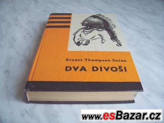 dva-divosi