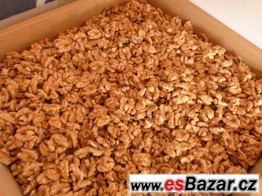 vlašské ořechy 2015 sušené