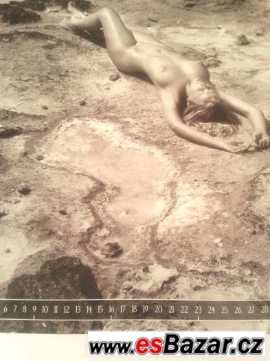 Dámský fotokalendář 2011 na křídovém papíře