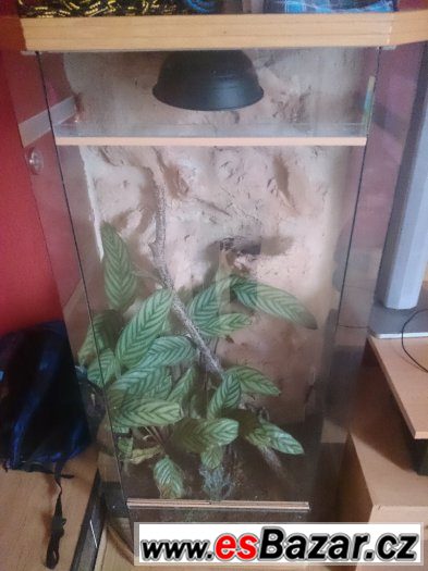 terarium-na-prodej-specha