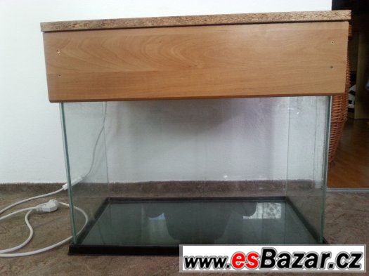 terarium