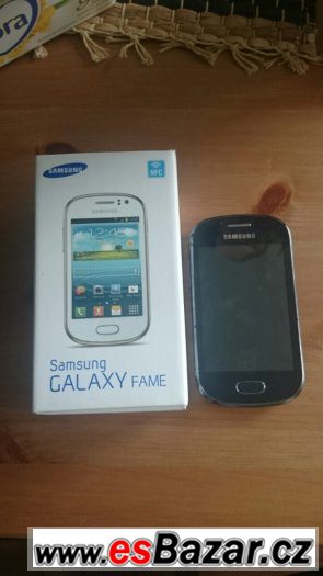 Samsung Galaxy Fame