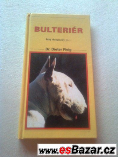 bulteriér