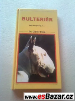 bulteriér