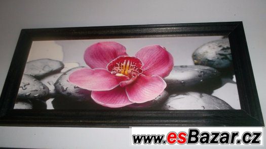 Zařízení salonu Zařízení salonu