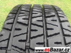 michelin-trx-prumer-vr365
