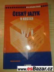 Český jazyk v kostce