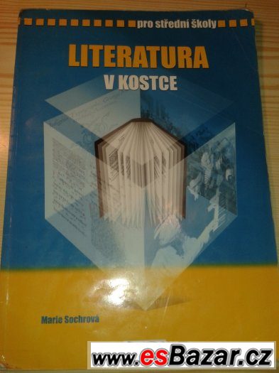 Literatura v kostce