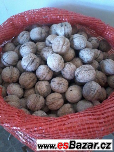 Vlašské ořechy - 20kg-59kč /neloupane