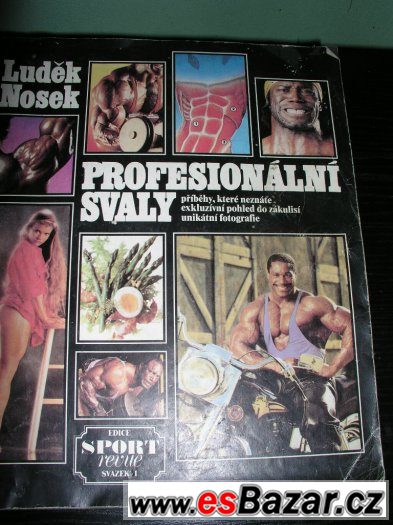 Prodám  časopis Profesionální svaly, Luděk Nosek, 1992.