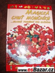 magicka-chu-t-moucniku-nova
