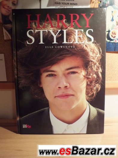 Harry Styles kniha