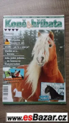Prodej časopisů