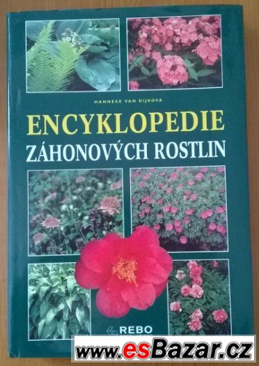 ROSTLINY NA ZÁHONECH- 1997