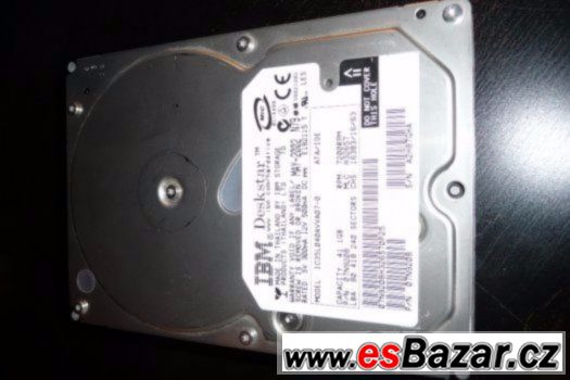 40GB HDD IBM Deskstar P-ATA