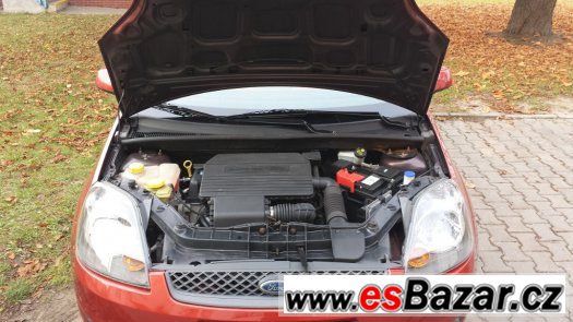 Fiesta 1,3i 51 Kw