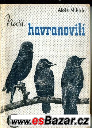 nasi-havranoviti-alois-mikula